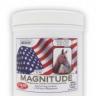 Magnitude revised 908g